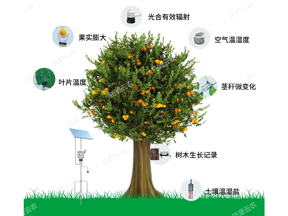 植物生理生態(tài)監(jiān)測(cè)系統(tǒng) TP-ZWSL系列