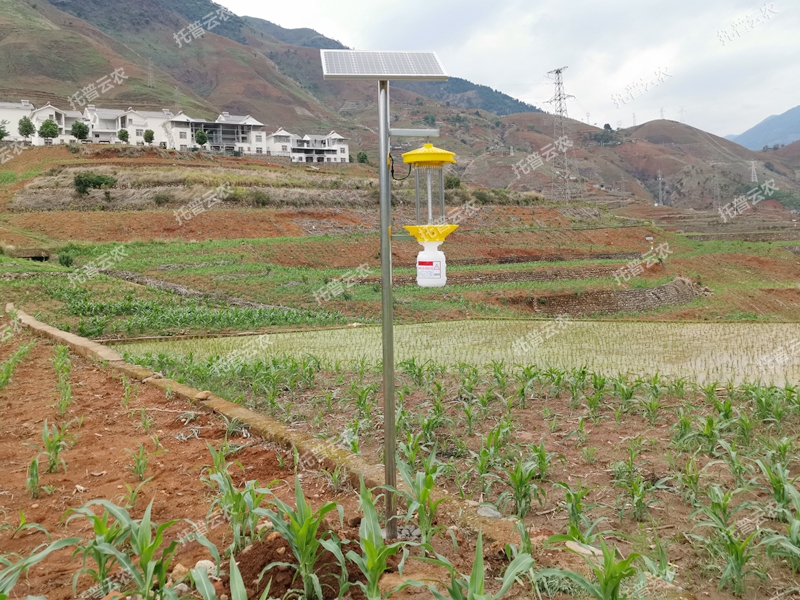 太陽能殺蟲燈 TPSC3-1