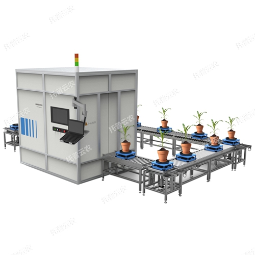 高通量植物表型采集分析平臺(tái)