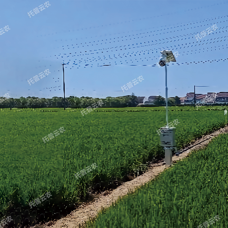 自動趕蛾智能統(tǒng)計桿 TP-GESB2.0