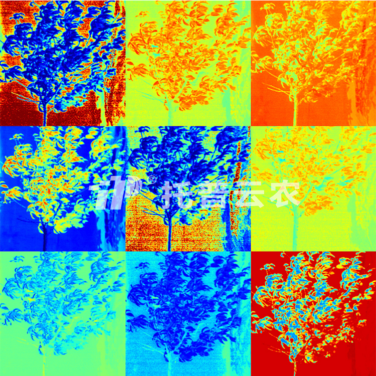 果樹解析圖2（水?。?jpg