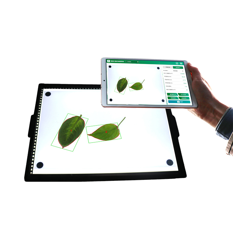 智能葉面積測量系統(tǒng) YMJ-CHA3