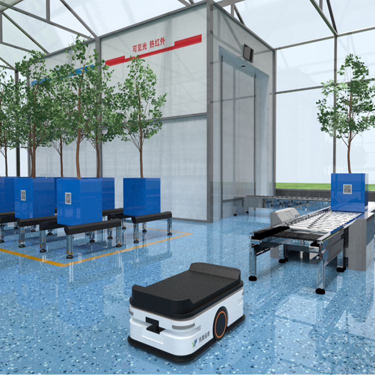 盆栽果樹高通量表型采集分析系統(tǒng)