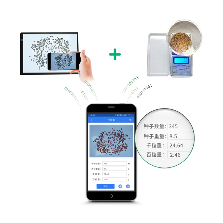 千粒重系統(tǒng)