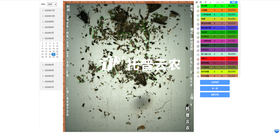 2. AI識別 自動計數(shù)_副本.png